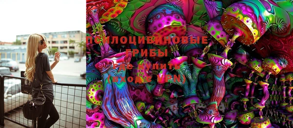 дурь Пересвет