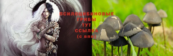 дурь Пересвет